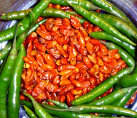 Fabulous Mexican Chilies